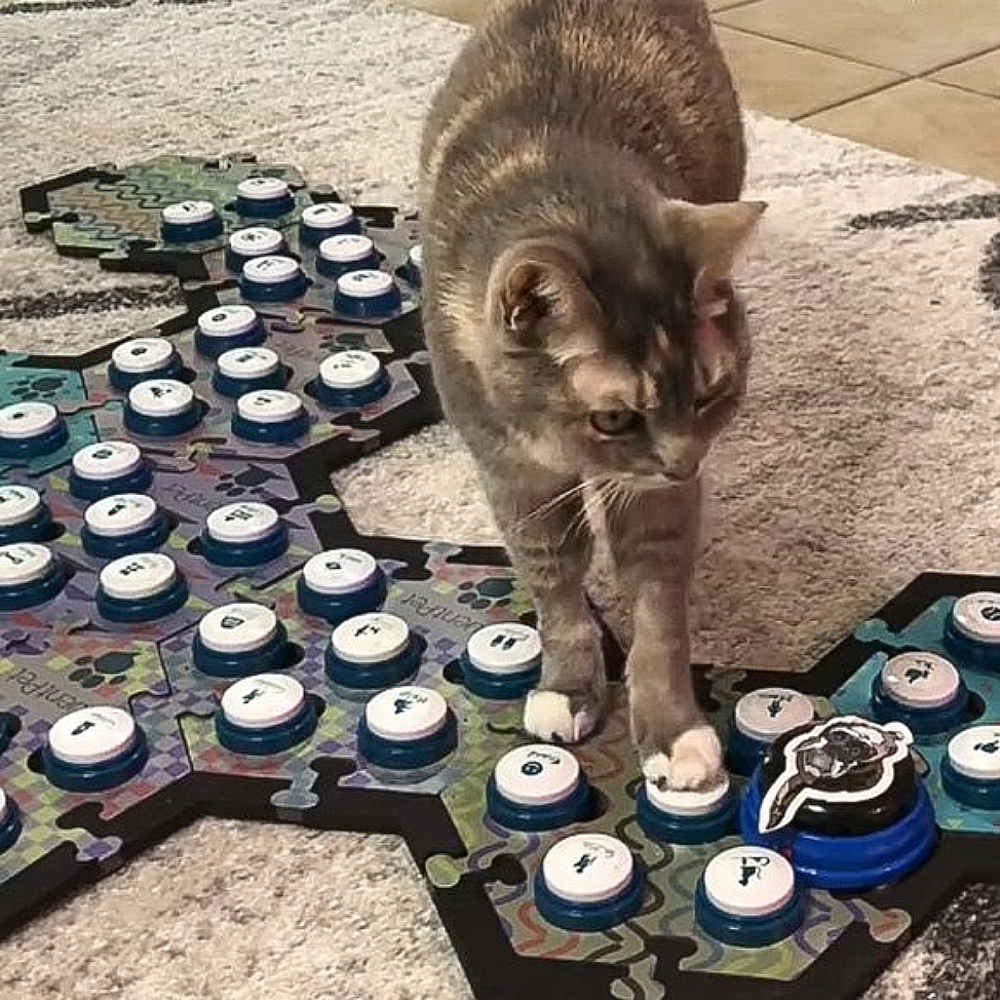 Fluent Pet Button (Great Gift for Pet Owners!) - Picture 8 of 13